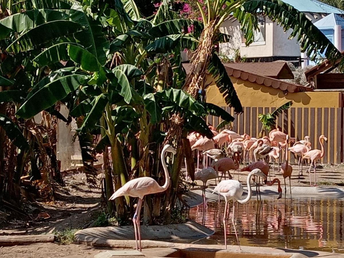 Carpe Diem Studio Benalmádena Kültér fotó